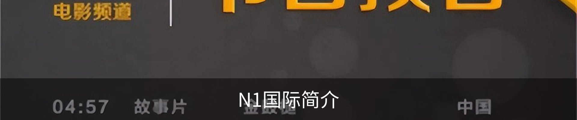 N1国际简介